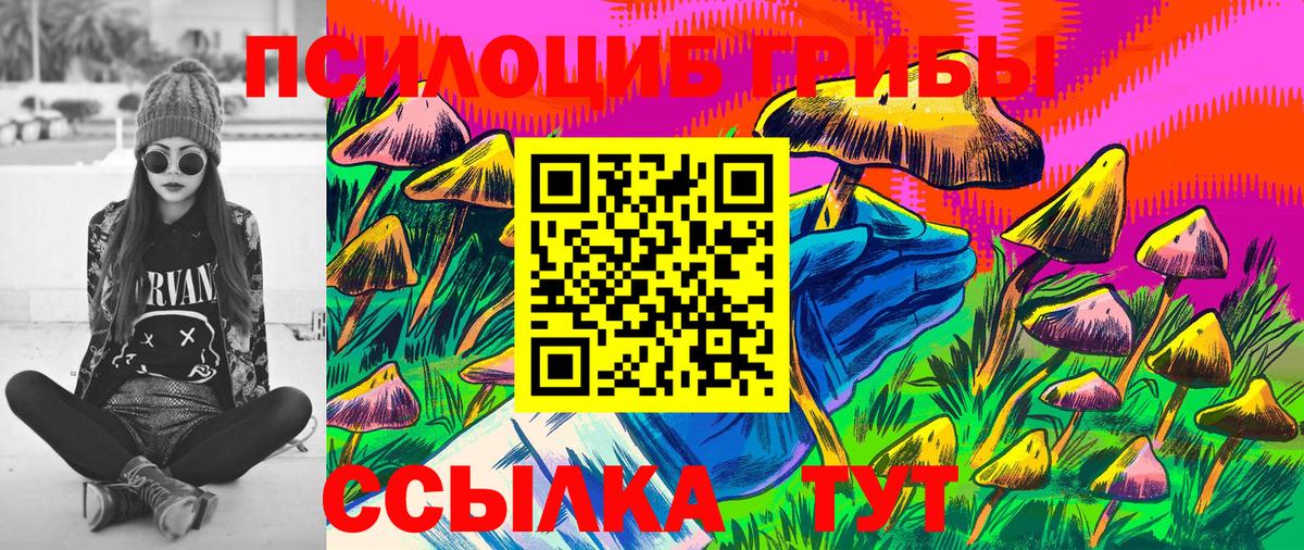 Псилоцибиновые грибы MAGIC MUSHROOMS  купить наркоту  Норильск  Вход с VPN 